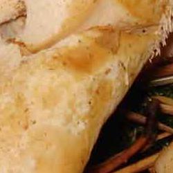 exposición micológica