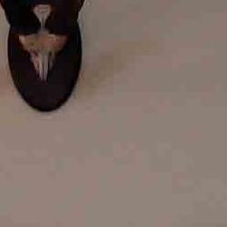 exposición de trofeos