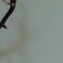 exposición de trofeos