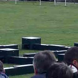 exhibición caza zorro