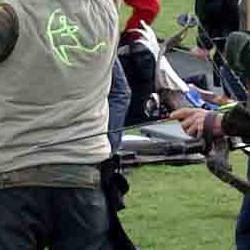 caza instintiva, tiro con arco