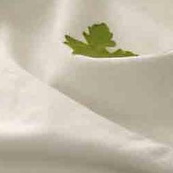 curso de pintura en tela