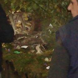 Jornadas Micológicas Otoño 2010 Jornadas Micológicas Otoño 2010