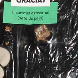 Jornadas Micológicas Otoño 2010 Jornadas Micológicas Otoño 2010