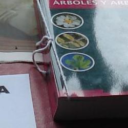 Jornadas Micológicas Otoño 2010 Jornadas Micológicas Otoño 2010