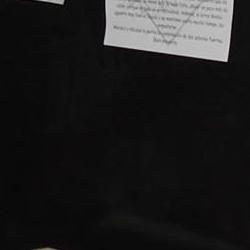 Jornadas Micológicas Otoño 2010 Jornadas Micológicas Otoño 2010