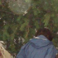 Jornadas Micológicas Otoño 2010 Jornadas Micológicas Otoño 2010