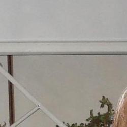 Jornadas Micológicas Otoño 2010 Jornadas Micológicas Otoño 2010