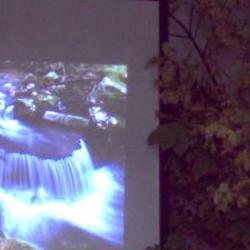 Jornadas Micológicas Otoño 2010 Jornadas Micológicas Otoño 2010