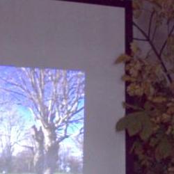 Jornadas Micológicas Otoño 2010 Jornadas Micológicas Otoño 2010