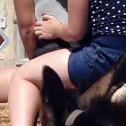 PASEOS EN BURRO PASEOS EN BURRO