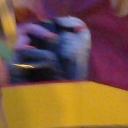 circo en almarza. 7 jun 2011 circo en almarza. 7 jun 2011