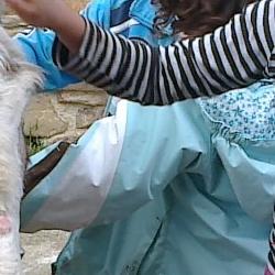 circo en almarza. 7 jun 2011 circo en almarza. 7 jun 2011