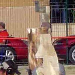 EXHIBICIÓN DE CORTA CON HACHA EXHIBICIÓN DE CORTA CON HACHA