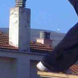 EXHIBICIÓN DE CORTA CON HACHA EXHIBICIÓN DE CORTA CON HACHA